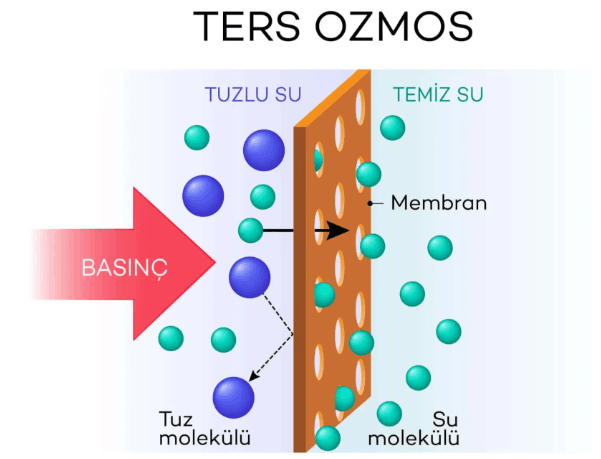 Ters Ozmoz Nedir?